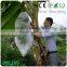 PP Nonwoven Fabric Fruit Bag