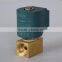 1/8" 1/4" Brass vertical steam boiler 110V 220V electric Valve ZCQ-20B-29