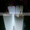 PE plastic multicolor change lighed up led ice bucket/wine cooler