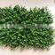 CHY060852 Guangzhou shengjie whoesale Artificial Boxwood green Hedge interior & exterior wall paneling