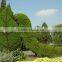 decorative huge size sculpture artificial plant statue design LGH15-06