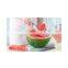 Amazon hot sell stainless steel melon baller and watermelon slicer