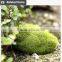 Buy direct from China manufacturer roof gardening moss stone