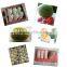 Food Grade EPE Eco-friendly Plastic Mango Export Packing Net