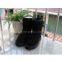 Women boots