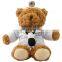 Stuffed Plush Doctor Teddy Bear With Stethoscope Custom Cute 25CM Soft Doctor Toy Plush Bear