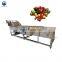 apple pear tomato washing machine fruit cleaning machine vegetable washing machine