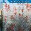 H12439 Printed decorative Privacy static window film