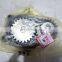 Apply For Truck Thermic Oil Pump  100% New Grey Color