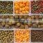 china jinan dry pet dog food processing line animal feed food extruder making machine