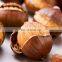 Chinese new season small bag packaged Organic Roasted Chestnuts with shell