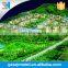 City planning & urban development miniature 3d model architecture