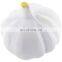 Best selling PU foam garlic shape custom antistress reliever ball for kids