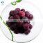 IQF Frozen Waxberry