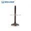 High Wear Resistance Auto Engine Parts Qd32 Engine Valve