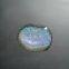 GS Rainbow Cat Eye Gel