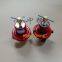 REGO 597FB Pressure Reducing Valve