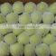 Fresh Green Apple