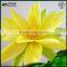 Manufacturing Plants For Sale Artificial Lotus Flower