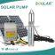 Top Quality DC Solar Water Pump With 24V, 36v, 48V, 72V, 90V, 120V (5 Years Warranty ) Quality Choice Supplier'