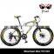 Cheap steel mountain bike offer OEM service