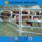 Australia super quality durable hot dipped galvanized horse panel, animal panels