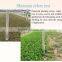 organic Polymer carbon trace elements chelated fertilizer