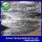 Spanish Mackerel W/R for Sale
