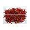 BRIGHT RED COLOUR INDIAN CHILLIES