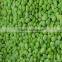 Hot Sale IQF Frozen Green Soybean Kernels
