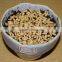 2016 New Pomegranate Seeds For Planting