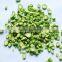 FD vegetables of spring/green onion