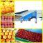 Automatic apple lemon pear olive sorting machine
