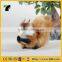 Durable OEM cute mini squirrel plush toys for kids