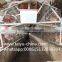 Chicken Cage 120 Birds 3 Tier or 256 Birds Chicken Cage Hot Sale in Zimbia