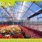Hydroponic Greenhouse Systems/Selling Used Greenhouse For Agriculture And Horticulture