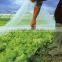 PP SPUNBONDED NONWOVEN FOR AGRICLUTURAL USE