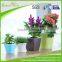 Cheap plastic decorative small colorful flower pot