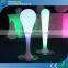 GLACS Control Illuminated LED Outdoor Lamp/LED Floor Lamp Outdoor/Plastic Lighted LED Garden Lamps