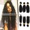 2017 hot sale kinky curly indian hair salon wholesale hair bundle