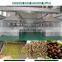 20KW Soybean Microwave Tunnel Dryer machine for sale