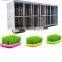 bean sprout growing machine bean sprout machine soybean sprout /mung bean sprout for competitive price