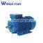 Cast Iron Frame Three Phase Electric AC Induction Motor