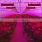 led plant grow light 1200 w  full spectrum