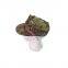 Camouflage military 8-point hat octagonal cap hat