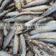 Good quality frozen fresh anchovy whole round  for sale