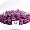 High quality IQF Frozen Purple Sweet Potato Dice