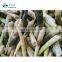 Grade A Export Wholesale High Quality IQF Frozen Leizun