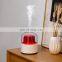 GXZ-X908 Cactus Aroma Mountain Mist DIffuser 200ml Air Humidifier Purifier with Night Light with Intelligent Timely