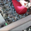 Rail Long String Measuring Device for Railway Track Curve Versine Measuring